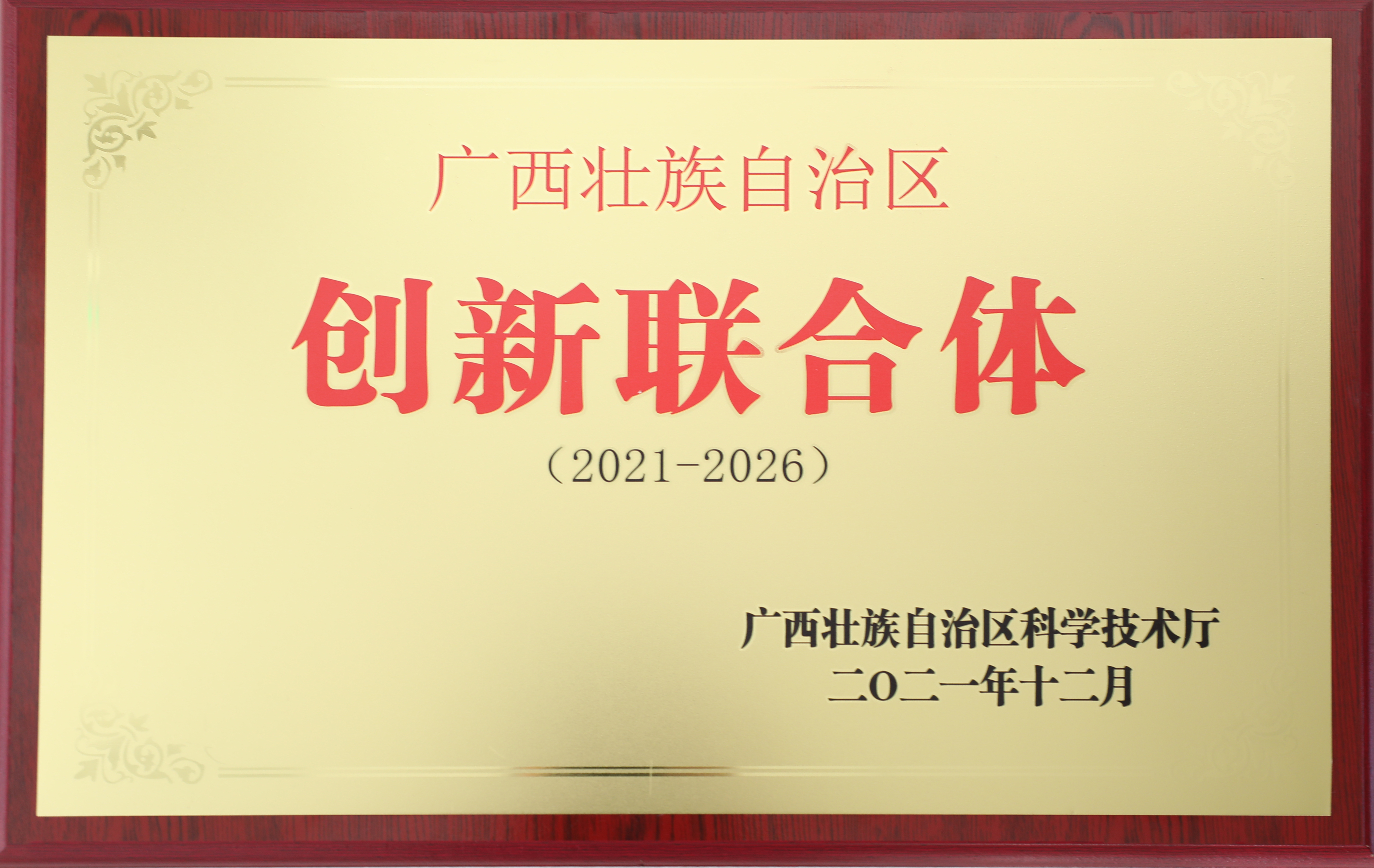 发挥职能优势，强化科技创新 ——广西食品药品检验所助力药品企业成功组建自治区首批创新联合体